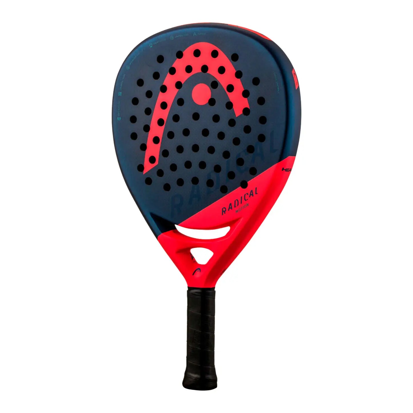 PALA HEAD RADICAL MOTION 2024