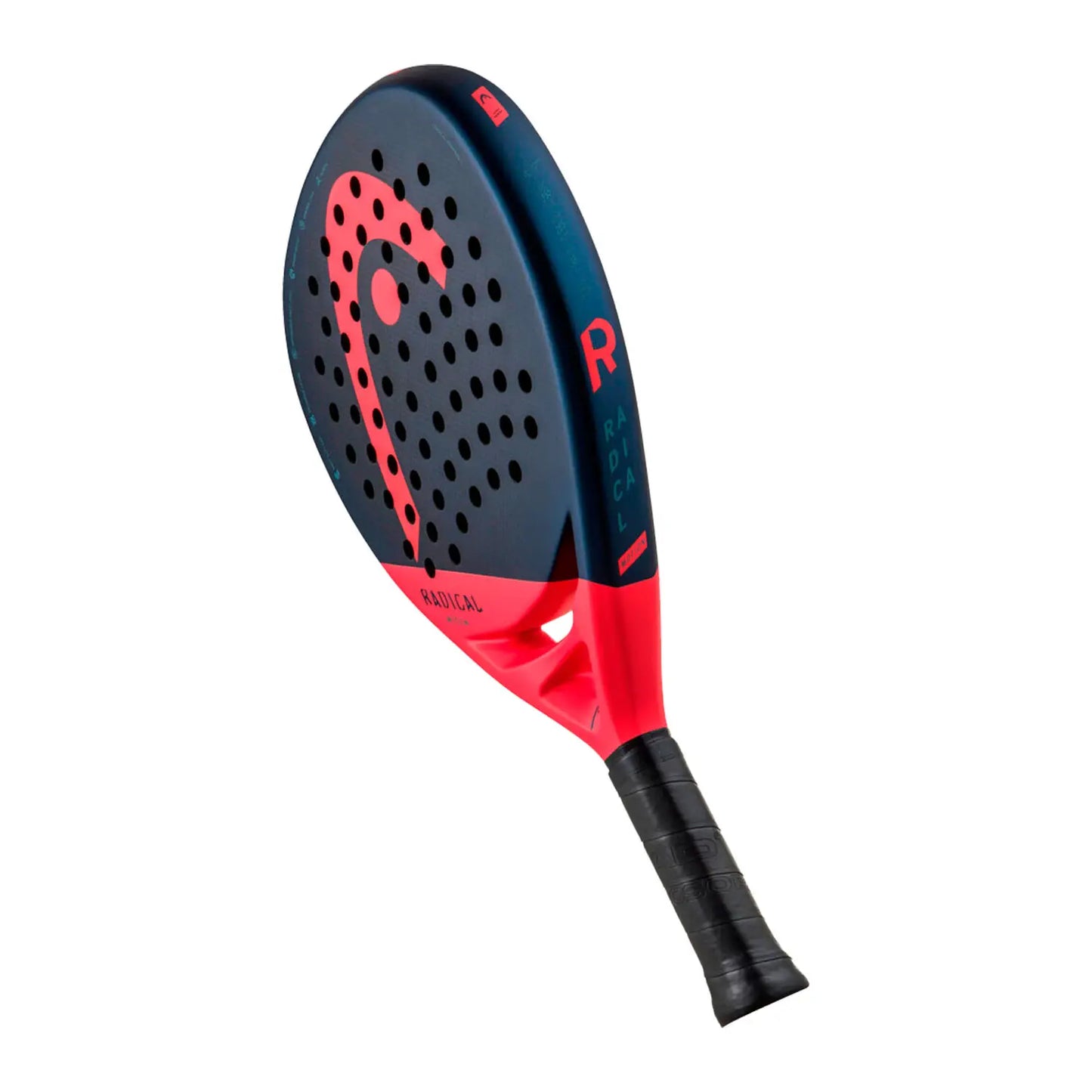 PALA HEAD RADICAL MOTION 2024