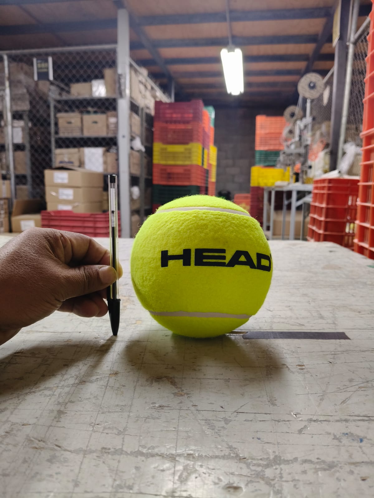 Pelota Head Medium Inflable para autografos 2025