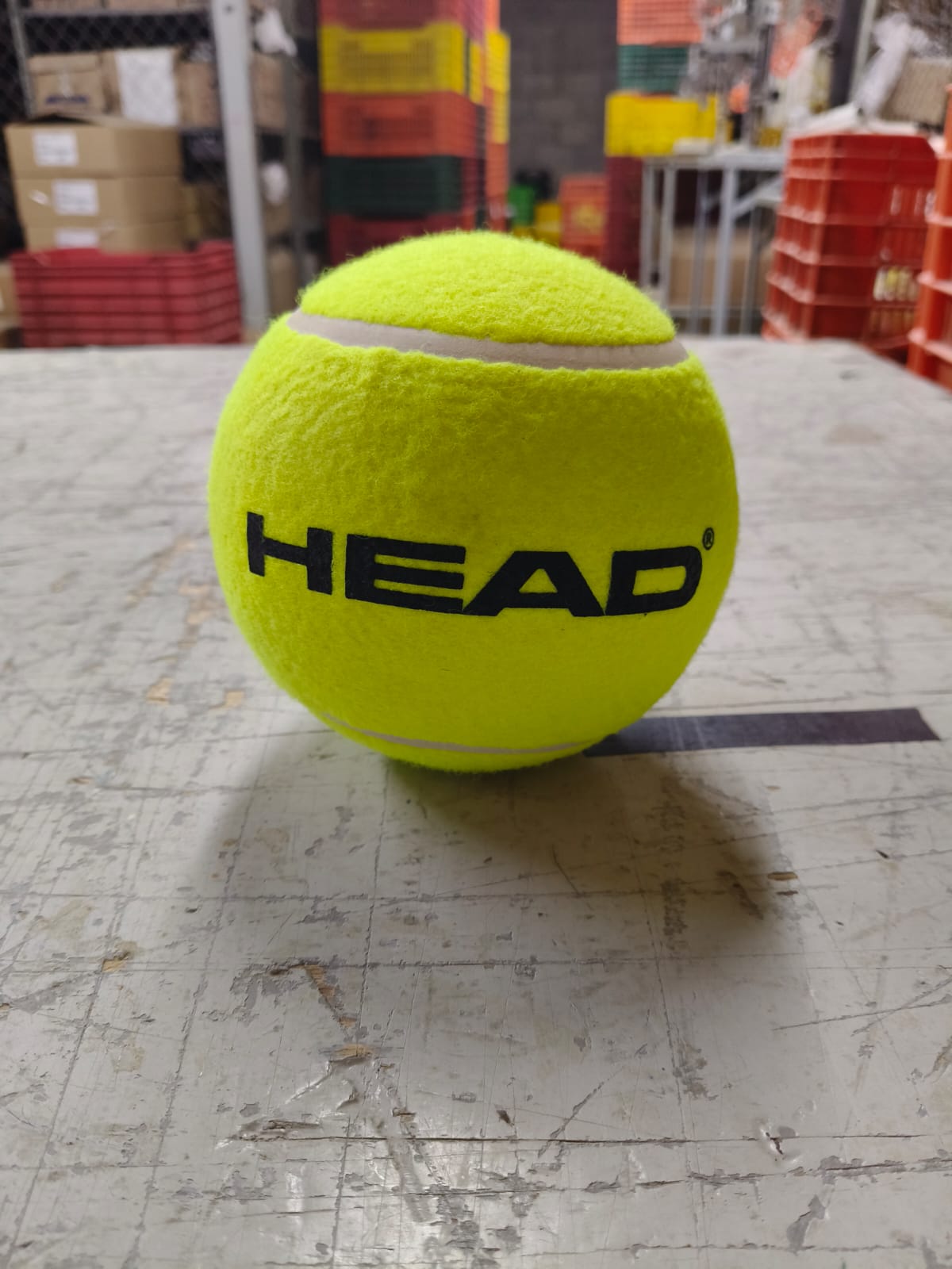 Pelota Head Medium Inflable para autografos 2025